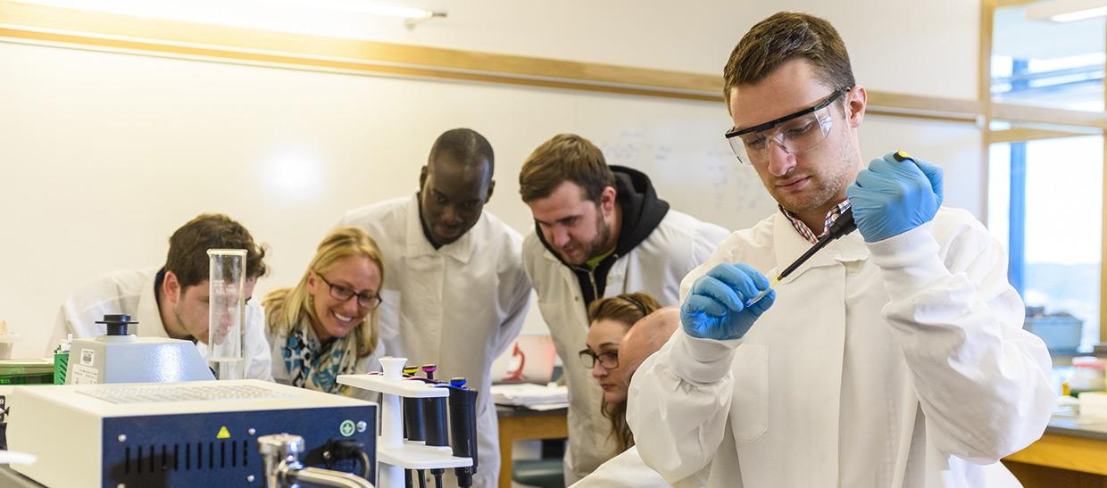 学生s working in a lab